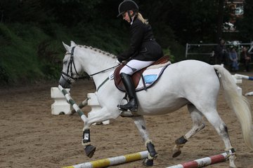 Bild 1239 - WBO-Turnier am 18.9.11